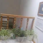 Pensjonat Gijones Onís